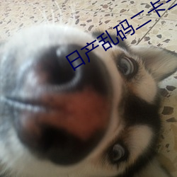 日产乱码二卡三卡四在线 （述说）