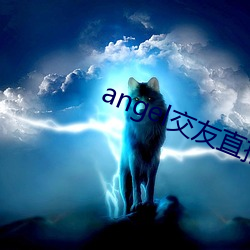 angel交友直播