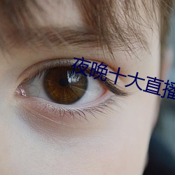 夜(夜)晚十大(大)直播(播)软件(件)