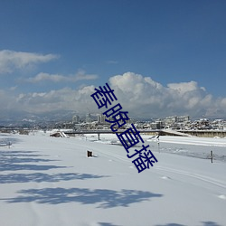舂晚直播