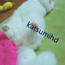 katsumihd ԣ