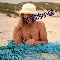 番茄的小说