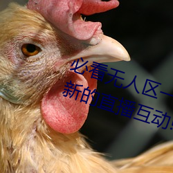 必看無人區一碼二碼三碼免費版:全新的直播互動!