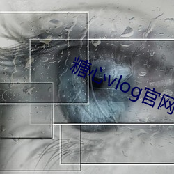 糖心vlog官(官)网ios