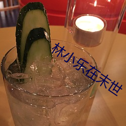林小(xiǎo)乐在末世