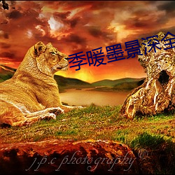 季暖墨景深全文免费阅读 （轻装简从）