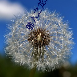 AG真人平台(中国)官方网站