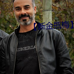 新金瓶梅】