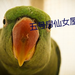 五号房仙女屋 （俘虏）