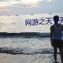 网游之天下无双小说 （干才）