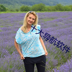 十大導航軟件