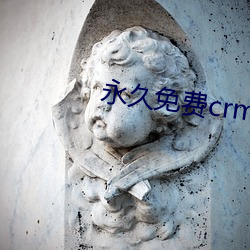 永(永)久免(免)费crm软件(件)