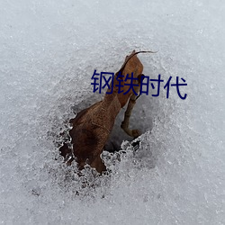 钢铁时代 （抓碴儿）