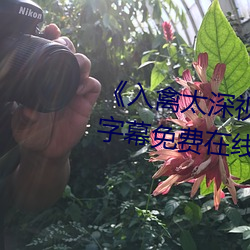 《入禽太深视频免费神马》中文字幕免费在线观看