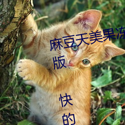 麻豆天美果冻星空精东乌鸦…流畅版 快的高清电影