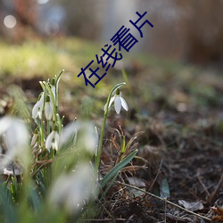 金年会(中国)官方网站