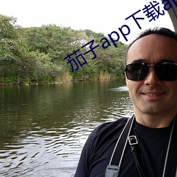 茄子app下載api免費下