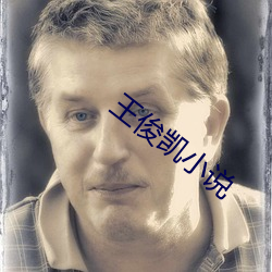 王俊凯小说(shuō)