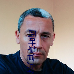 四叶(yè)草官方在线观看