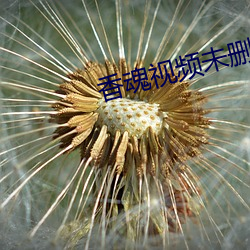 米乐M6·(中国)官方网站