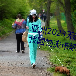亚洲2023无矿转(轉)码专区2023高清我国物流市场(場)规模连续(續)7年位