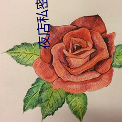 夜(夜)店私(私)密(密)会所