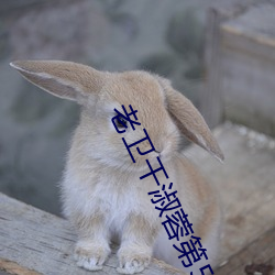 老衛幹淑蓉第5章