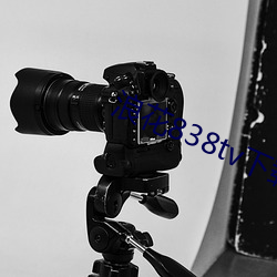 浪花838tv下(下)载(載)