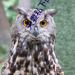 夫妻私下的相处