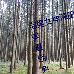 宅男女(nǚ)神(shén)深田咏美个人资(zī)料 深田咏美最经典的5部作品(pǐn)推荐