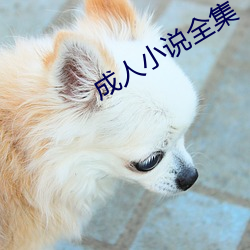 AG真人平台(中国)官方网站