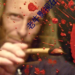 老(lǎo)牛(ni)影视在线一区二观看(kàn)