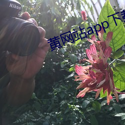 黄网站app下载 （齎志而殁