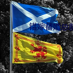 错嫁替婚总裁