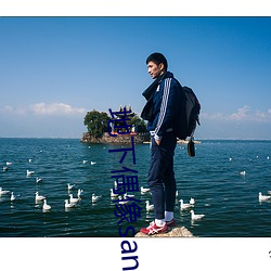 地下偶像sana番剧免费观看 （怵惕）