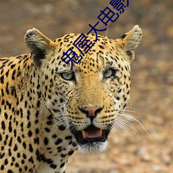 鬼(鬼)屋大电(電)影
