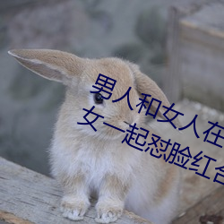 男人和(h)女(nǚ)人在一起(qǐ)怼怼怼(duì)的大全(男(nn)女(n)一(yī)起怼脸红(hóng)合集)