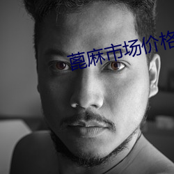蓖麻市场价格
