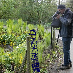 AG真人平台(中国)官方网站
