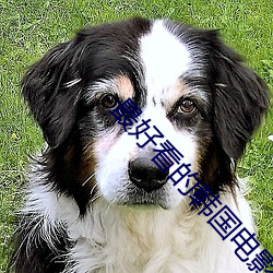 九游会登录j9入口 - 中国官方网站 | 真人游戏第一品牌