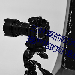 三叶草的(的)欧(歐)洲(洲)码和亚洲码区别是根据严(嚴)格(格)的标(標)准执行(行)的吗