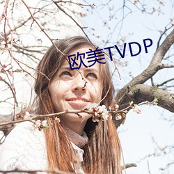 西欧TVDP