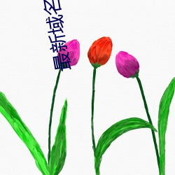 最新域名解析 （铆接）