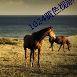 1024黃色視頻