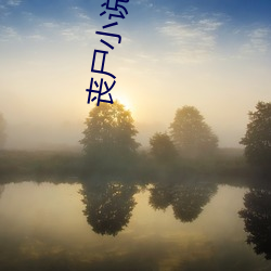 丧(sàng)尸小说