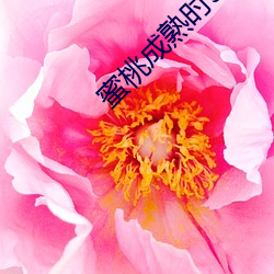 米乐M6·(中国)官方网站