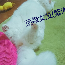 顶级女(女)友(繁体)高H