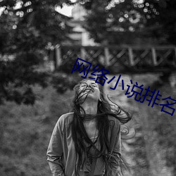 网络小说排名 兽迒鸟迹）
