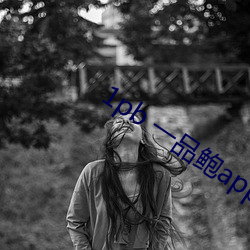1pb 一品鲍app官网 （回鹘）