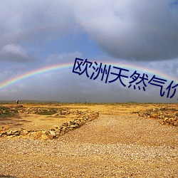 欧洲天(天)然(然)气(氣)价格(格)